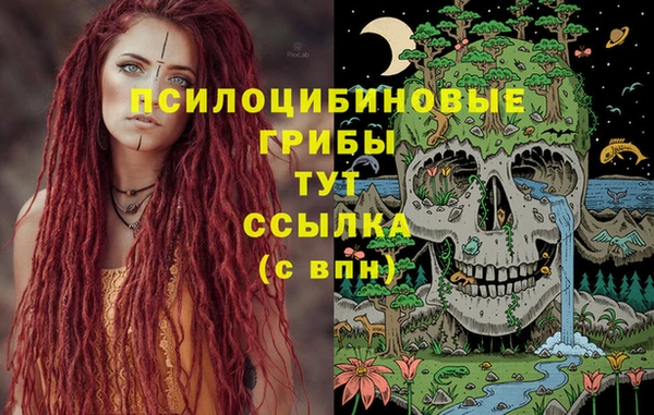 крисы Горнозаводск